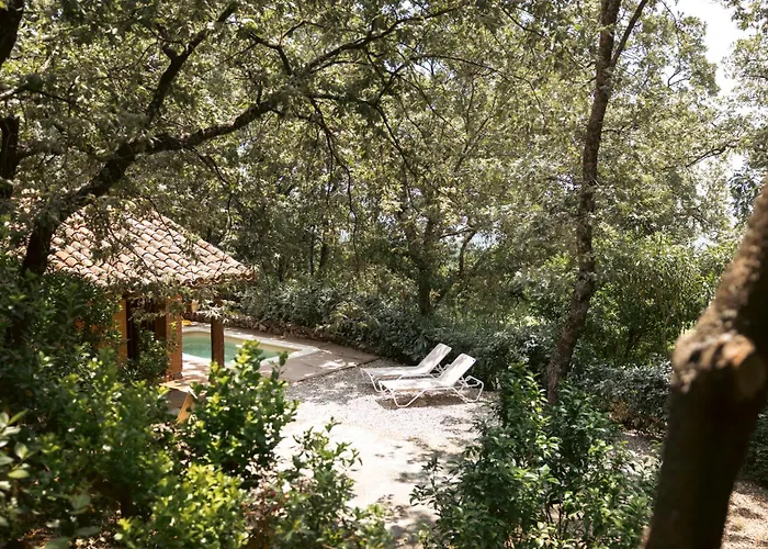 El Escondite De Pedro Malillo